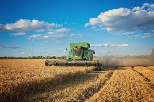 Maanviljelyssijoitusten riskit ja haasteet